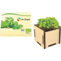 Bio Pflanzsteckbox 'Basilikum' – Produktbild 1 von 1