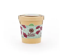 Die Stadtgärtner Die Stadtgärtner Schokoblumen aus dem Becher Anzuchtset – Produktbild 1 von 1