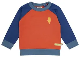 loud + proud loud + proud Babys & Kinder Sweatshirt Colorblock, GOTS-zertifiziert – Produktbild 1 von 1