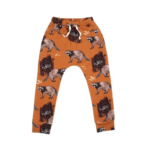 Walkiddy Kinder Jogginghose GOTS zertifiziert Bio-Baumwolle Braun Allover-Print „Curious Raccoons“ elastischer Bund – Walkiddy – Produktbild 1 von 2