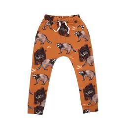 Walkiddy Kinder Jogginghose GOTS zertifiziert Bio-Baumwolle Braun Allover-Print „Curious Raccoons“ elastischer Bund – Walkiddy – Produktbild 1 von 1