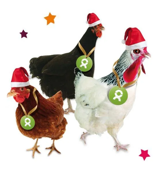 OxfamUnverpackt OxfamUnverpackt Spenden-Geschenk "Gackernde Hühner" (Weihnachtskarte mit Magnet) – Produktbild 2 von 2