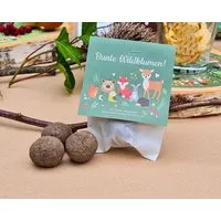 Ideenverlag Hamburg Ideenverlag Hamburg 10 Waldtiere Samenbomben im Tütchen mit Wildblumensaatgut | Nachhaltiges Mitgebsel für Kindergeburtstage & Naturgeschenk für kleine Entdecker:innen – Produktbild 1 von 1