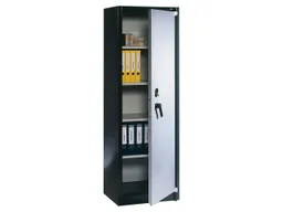 C+P C+P Feuergeschützte Flügeltürenschrank anthrazit/alusilber B 65 cm, H 195 cm – Produktbild 1 von 1