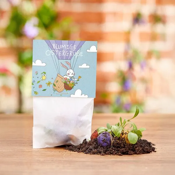 Die Stadtgärtner Die Stadtgärtner 10x5 Blumenmurmeln im Tütchen "Ostergrüße" I Ostergeschenk für Kinder I Kleinigkeit zu Ostern I Geschenk zu Ostern I Kleine Geschenk für Osternest oder Osterkörbchen – Produktbild 4 von 4