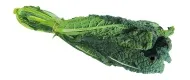 Deutschland Schwarzkohl (Toskanischer Kohl) – Produktbild 1 von 1