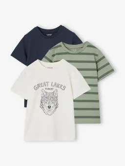 Vertbaudet 3er-Pack T-Shirts Jungen BASIC salbei – Produktbild 1 von 1