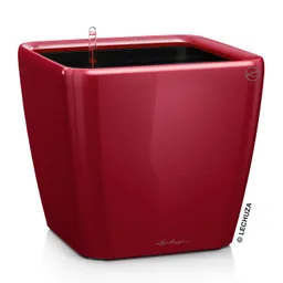 Lechuza® Lechuza® 'Quadro LS 21', scarlet-rot, ca. 21 x 21 x H 20 cm – Produktbild 1 von 1