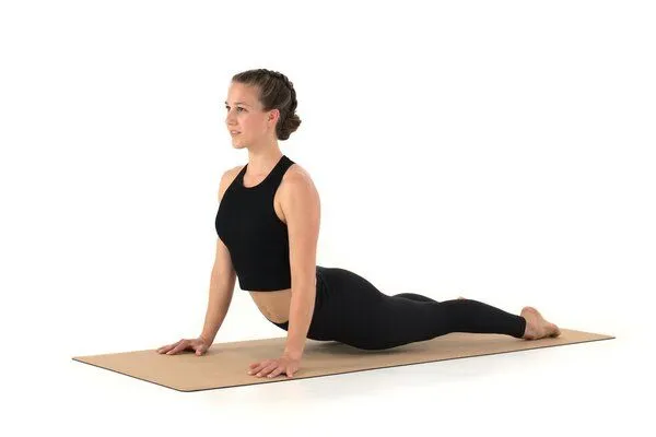 rollholz rollholz Korkmatte mit Natukautschuk 183 cm x 61 cm x 0,4 cm – Produktbild 4 von 4