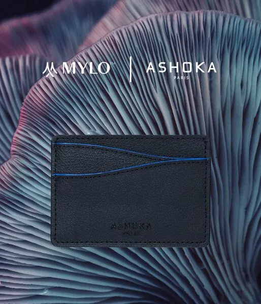 Ashoka Paris Ashoka Paris Kartenetui aus Mylo Pilzmaterial Blau – Produktbild 3 von 4