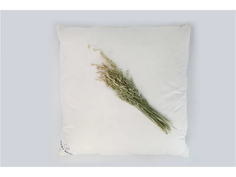 HANS NATUR HANS NATUR Bauchschläfer Kissen, 3 Kammern Daunen Maße 80 x 80 cm – Produktbild 2 von 2