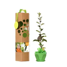 SchenkeinBäumchen SchenkeinBäumchen Geburtsbaum inkl. Bärchen – Produktbild 1 von 1