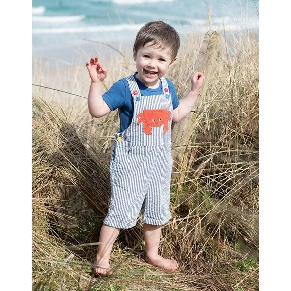Frugi Frugi Latzhose Regenbogen blau-weiss gestreift Sommerhose – Produktbild 5 von 6