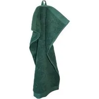 ege organics ege organics 2 Stück Handtuch Bio-Baumwolle Gästetuch 50X100cm 600gr/m², Grün, – Produktbild 1 von 1