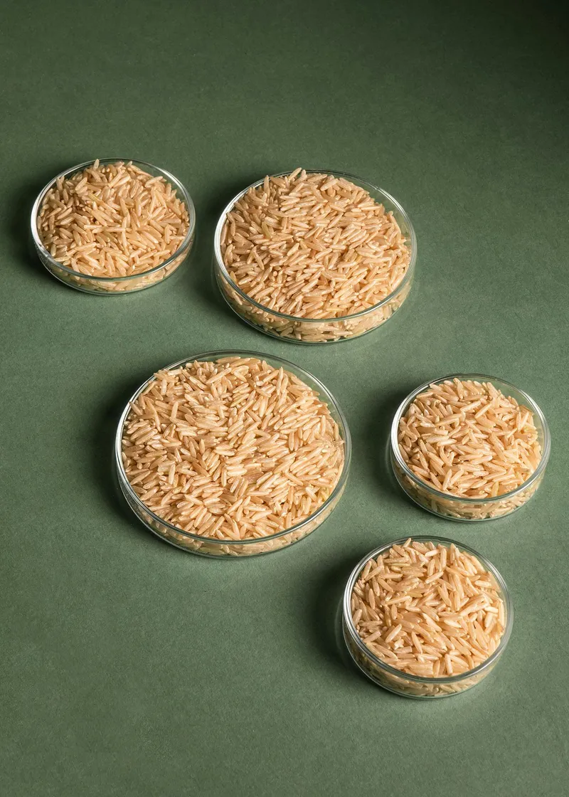 KoRo Brauner Bio Basmati Reis 5 kg – Produktbild 4 von 5