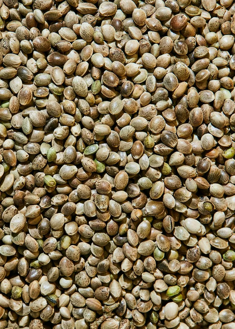 KoRo Ungeschälte Bio Hanfsamen 1 kg – Produktbild 1 von 5