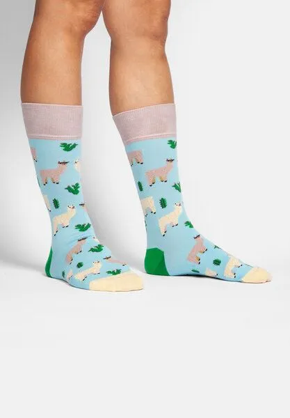 DillySocks DillySocks Socken „Animal Adventures (3er Box)“, Beige weiss hellblau grün, – Produktbild 2 von 4