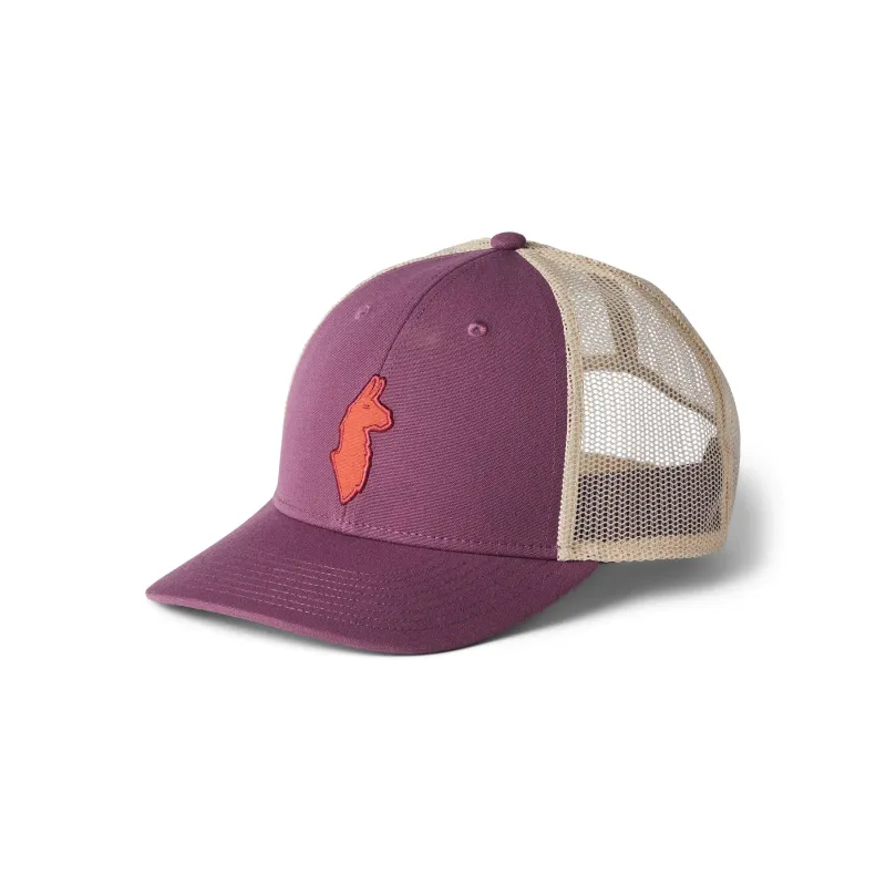 Cotopaxi Trucker Cap Cotopaxi Llama, Violet, – Produktbild 1 von 1