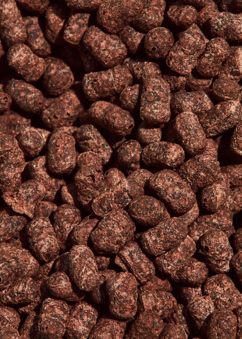KoRo Soja Protein Crispies 77 % mit Kakao | 1 kg – Produktbild 2 von 5