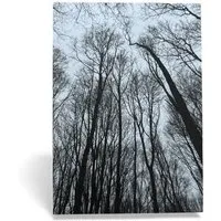 ilovemixtapes ilovemixtapes A6 Postkarte „Forest“ – Minimalistisches Waldmotiv auf PEFC-zertifiziertem Offsetpapier – Produktbild 1 von 1