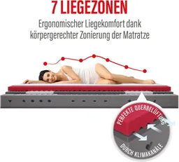 Paradies Federkernmatratze Neuheit: Paradies Perfekta TFK, 90x200, 140x200 cm & weitere Größen, Paradies, 22 cm hoch, Matratze mit 1.000 Federn für maximale Punktelastizität und Komfort – Produktbild 1 von 1