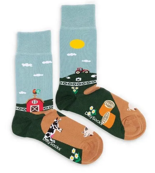 DillySocks DillySocks Socken Farmer's Finest aus Biobaumwoll-Mix, Mehrfarbig, – Produktbild 1 von 4