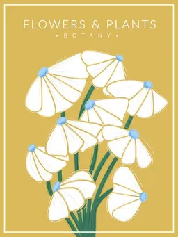 Photocircle Photocircle Poster / Leinwandbild - White Flowers - Botany no2 – Produktbild 1 von 1