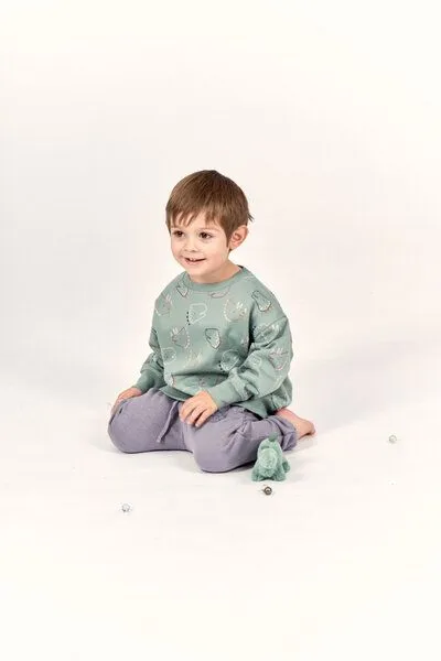 Sense Organics sense-organics Sense Organics Kinder Sweatshirt Dino Bio Baumwolle, Dino kopf-druck auf salbei, – Produktbild 2 von 2