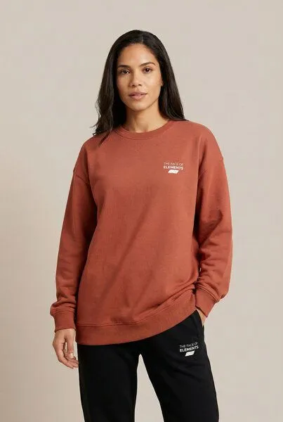 THE FACE OF ELEMENTS The Face of Elements Element - Oversized Fit Sweatshirt aus 100% Bio-Baumwolle, Maroon (braun), – Produktbild 3 von 4