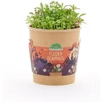 Die Stadtgärtner Die Stadtgärtner Flederschmaus - Halloween Becher - Geschenk & Giveaway für Halloween – Produktbild 1 von 1