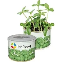 Bio-Mini-Pflanzset 'Dose' Basilikum  mit 1-4 farbigem Aufdruck – Produktbild 1 von 1