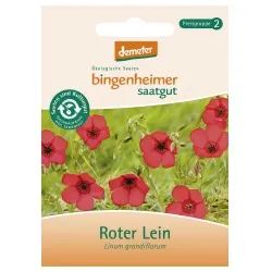 Bingenheimer Saatgut Roter Lein – Produktbild 1 von 1