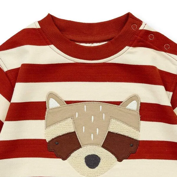 Sense Organics Sense Organics Baby Sweatshirt, Modell SIAM, Terrakotta geringelt mit waschbär, – Produktbild 3 von 4