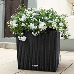 Lechuza® Lechuza® 'Cube Cottage 40', graphitschwarz, ca. 39 x 39 x H 40 cm – Produktbild 1 von 1