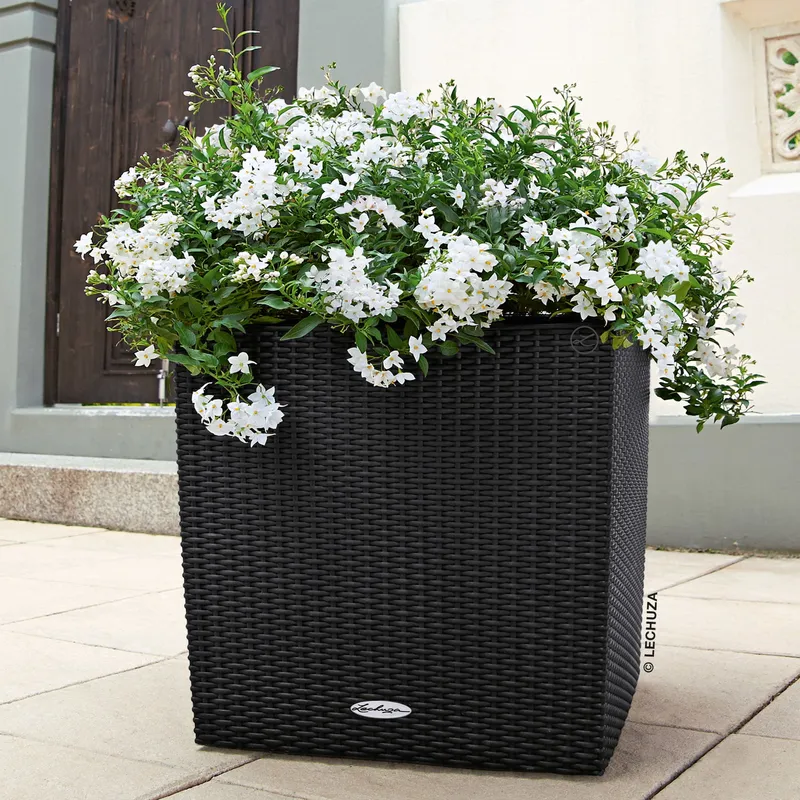Lechuza® Lechuza® 'Cube Cottage 40', graphitschwarz, ca. 39 x 39 x H 40 cm, Schwarz, – Produktbild 1 von 1
