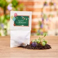 Die Stadtgärtner Die Stadtgärtner 5 bunte Blumenmurmeln im Tütchen mit Wildblumensaatgut | Geschenkidee zur Einschulung, Schulanfang, für Schultüte | "Du bist 1. Klasse" – Produktbild 1 von 1