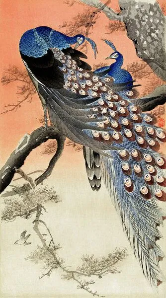 Photocircle Photocircle Poster / Leinwandbild - Zwei Pfauen in einem Baum von Ohara Koson – Produktbild 2 von 2