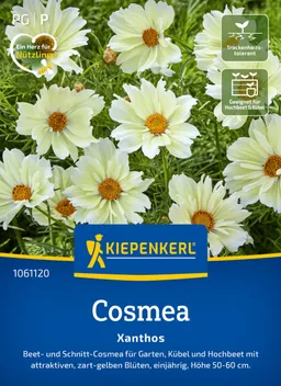 Kiepenkerl Kiepenkerl Cosmos Xanthos – Produktbild 1 von 1