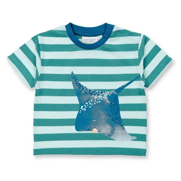 Sense Organics sense-organics Sense Organics Baby T-Shirt Rochen-Motiv Bio Baumwolle, Sea-ice green rays, – Produktbild 1 von 1