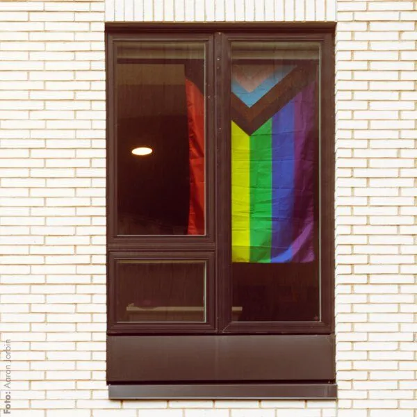 roots of compassion roots of compassion Fahne Progress Pride - Regenbogenfahne, Flagge, LGBTQA, queer – Produktbild 1 von 3