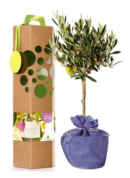 SchenkeinBäumchen SchenkeinBäumchen Wunschbaum – Produktbild 3 von 6