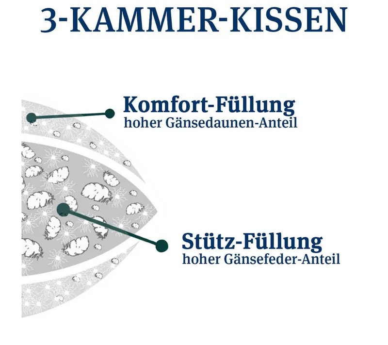 Paradies Paradies 3-Kammer-Kopfkissen Abbie, Füllung: Außenkammer: 90% Daunen, 10% Federn Innenkammer: 85% Federn, 15% Daunen, Bezug: 100% Baumwolle, Seitenschläfer, Bauchschläfer, Rückenschläfer, Drei Kammer Kissen in 40x80, 80x80, mittlere Stützkraft & kuschelig – Produktbild 3 von 5