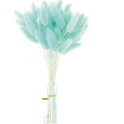 Rico Design Rico Design Getrockneter Lagurus türkis ca. 40cm 50 Stück – Produktbild 1 von 1