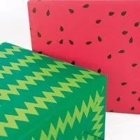 Bow & Hummingbird Bow & Hummingbird Geschenkpapier Wassermelone – Produktbild 1 von 1