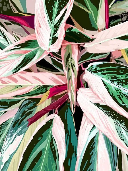 Photocircle Photocircle Poster / Leinwandbild - Tropical Variegated Houseplant – Produktbild 1 von 4