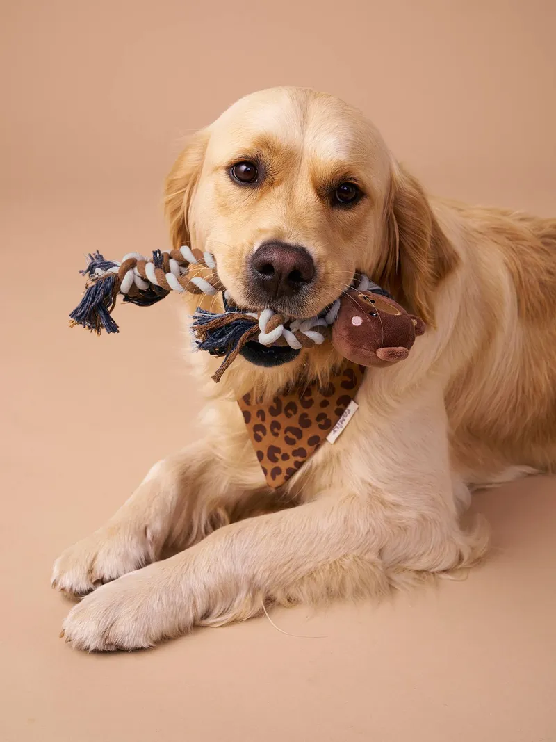 Vertbaudet Hundespielzeug Löwe mit Seilkörper, Braun, – Produktbild 3 von 4