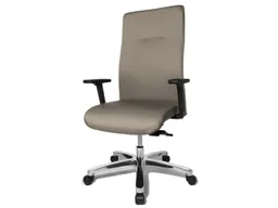 Topstar Topstar Bürodrehstuhl "Big Star" mit Armlehnen grau – Produktbild 1 von 1