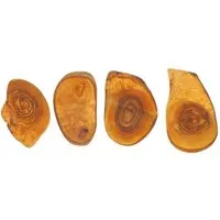 Mitienda Shop Mitienda Shop Untersetzer 4er Set aus Olivenholz Rustikal – Produktbild 1 von 1