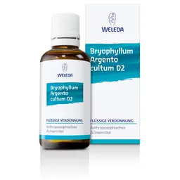 Weleda WELEDA BRYOPHYLLUM ARGENTO cultum D 3 Dilution 50 ml Dilution – Produktbild 1 von 1