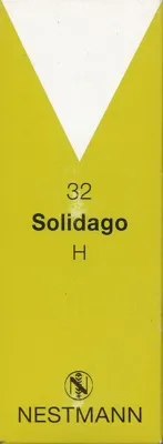 Nestmann Pharma SOLIDAGO H 32 Tropfen 100 ml Tropfen – Produktbild 1 von 1